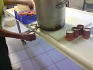 caille2